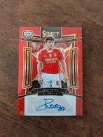 Joao Neves autographs Benfica Panini, Verzenden, Zo goed als nieuw, Buitenlandse clubs, Poster, Plaatje of Sticker