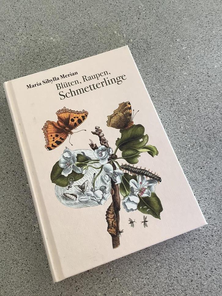 Maria Sibylla Merian, Bluten, Raupen, Schmetterlinge 🌺🐛🦋, Boeken, Natuur, Nieuw, Bloemen, Planten en Bomen, Ophalen of Verzenden