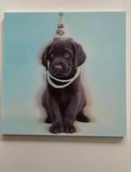 3D Puppy Schilderij holografisch hond Labrador fotoprint, Minder dan 50 cm, Ophalen of Verzenden, Minder dan 50 cm, Print