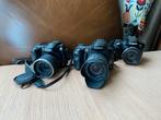 Fuji S5600, S6500fd & Canon SX50HS - Gebruikt, Audio, Tv en Foto, Fotocamera's Digitaal, Gebruikt, Compact, Ophalen of Verzenden