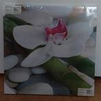 Canvas schilderij, orchidee - bamboe, Huis en Inrichting, Woonaccessoires | Schilderijen, Tekeningen en Foto's, Minder dan 50 cm