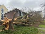 2 gecertificeerde zagers helpen gratis bij stormschade