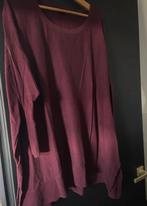 Reinders trui Burgundy, Reinders, Maat 42/44 (L), Ophalen of Verzenden, Zo goed als nieuw