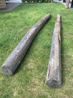 Kastanje Paal Diameter 140/160mm Geschild, Tuin en Terras, Palen, Balken en Planken, Ophalen, Zo goed als nieuw, Palen