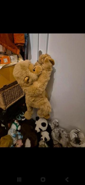 Schattige Aap Knuffel beschikbaar voor biedingen