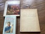 Rembrandt, Vincent van Gogh en Bruegel, Ophalen of Verzenden, Gelezen