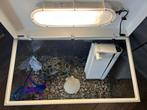 Aquarium 55x 30x 39, Dieren en Toebehoren, Vissen | Aquaria en Toebehoren, Ophalen, Gebruikt, Leeg aquarium