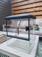 Klein terrarium 30x25x35, Dieren en Toebehoren, Reptielen en Amfibieën | Toebehoren, Ophalen, Gebruikt, Terrarium of Paludarium