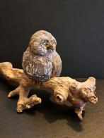 Uil hout op tak, Ophalen of Verzenden, Zo goed als nieuw, Dier