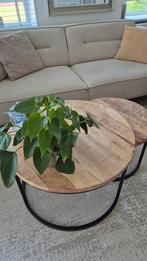 Prachtig mango houten salontafels. Van Haco., Ophalen, Zo goed als nieuw, Rond, Minder dan 50 cm