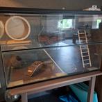 Terrarium voor goudhamster, Zo goed als nieuw, Hok, Hamster, 75 tot 110 cm
