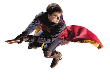 Harry Potter muurstickers Quidditch XL, Ron, zwerkbal beschikbaar voor biedingen