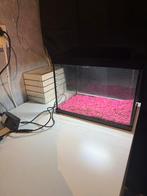 Aquarium, Ophalen, Zo goed als nieuw, Leeg aquarium