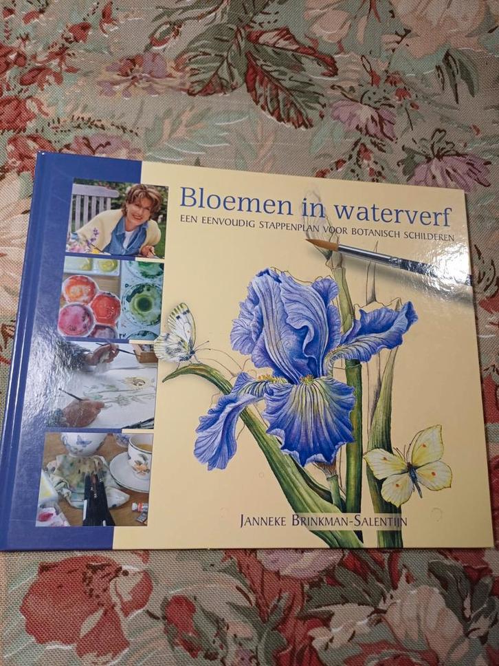 Bloemen in Waterverf - Boek janneke brinkman salentijn, Hobby en Vrije tijd, Schilderen, Zo goed als nieuw, Overige typen, Ophalen of Verzenden