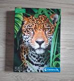 Clementoni Legpuzzel - Jaguar - 500 stukjes, Hobby en Vrije tijd, Denksport en Puzzels, Ophalen of Verzenden, 500 t/m 1500 stukjes