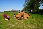 Trespa Kippenhok / Chalet 4XL - Cucciolotta, Dieren en Toebehoren, Pluimvee | Toebehoren, Ophalen of Verzenden, Nieuw, Kippenhok of Kippenren