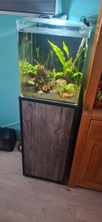 Dennerle Nano Cube 60L + Kast, Ophalen, Zo goed als nieuw, Leeg aquarium