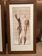 2 stuks ingelijste foto van bloemen, Ophalen of Verzenden