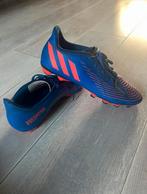 Zgan Adidas predator voetbalschoenen 42 2/3, Sport en Fitness, Voetbal, Maat XS of kleiner, Ophalen, Zo goed als nieuw, Schoenen