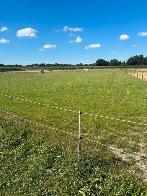 Stalling beschikbaar in hierden, Dieren en Toebehoren, Stalling en Weidegang, Stalling