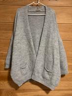 Gai + Lisva vest grijs fijn gebreid knitwear one size, Kleding | Dames, Truien en Vesten, Gai + Lisva, Ophalen of Verzenden, Zo goed als nieuw