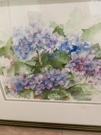 Aquarel van hortensia’s, Ophalen of Verzenden, Zo goed als nieuw, Minder dan 50 cm, Schilderij