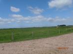 Aangeboden weiland voor merries met of zonder veulen., Dieren en Toebehoren, Stalling en Weidegang, Weidegang, 2 of 3 paarden of pony's