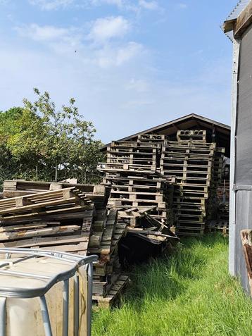 GRATIS OPHALEN PALLETS/HAARDHOUT  beschikbaar voor biedingen