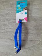 Kattenbandje met bel, Ophalen of Verzenden, Nieuw