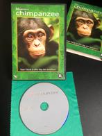 Chimpanzee dvd (2012) Disney Nature, Cd's en Dvd's, Dvd's | Documentaire en Educatief, Natuur, Gebruikt, Ophalen of Verzenden