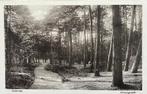 Oisterwijk, 'Boschgezicht' omstreeks 1915., Verzamelen, Ansichtkaarten | Nederland, Verzenden, Voor 1920, Ongelopen, Noord-Brabant