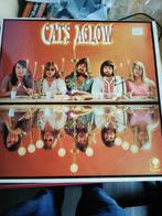 The Cats-Aglow LP Vinyl, Ophalen of Verzenden, Gebruikt, 12 inch, Rock-'n-Roll