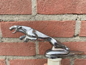 Jaguar Embleem XJ6 beschikbaar voor biedingen