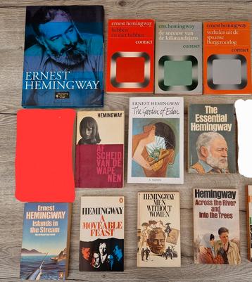Amerikaanse literatuurboeken (Atwood, Hemingway, Roth) beschikbaar voor biedingen