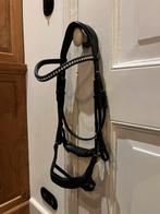 Anatomisch hoofdstel maat Cob, Ophalen, Zo goed als nieuw, Dressuur