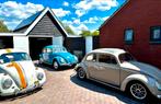 Vintage Volkswagens voor uw event!, Met chauffeur