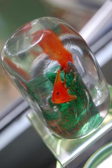 Paperweight met vissen- aparte vorm beschikbaar voor biedingen