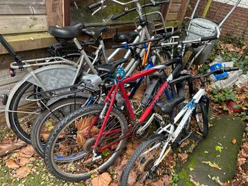 Diverse fietsen - Trek, Cortina, Merida, Rockrider beschikbaar voor biedingen