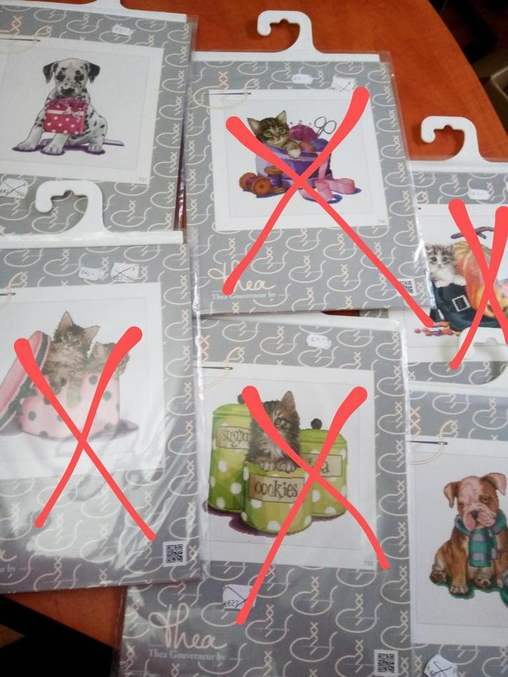 Borduurpaketten Thea gouverneur +borduurgaren/borduurzijde, Hobby en Vrije tijd, Borduren en Borduurmachines, Nieuw, Borduurgaren of Zijde