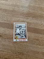 Panini munchen 74, Verzamelen, Ophalen of Verzenden, Zo goed als nieuw, Buitenlandse clubs, Poster, Plaatje of Sticker