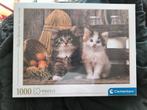 Puzzel nieuw., Ophalen of Verzenden, Nieuw