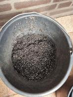 Aquarium grind zwart wit Gratis, Vis