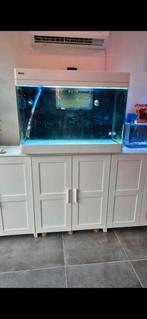 Compleet zeeaquarium te koop, Dieren en Toebehoren, Vissen | Aquaria en Toebehoren, Ophalen