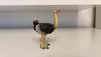Schleich Struisvogel ~ 14091 (6), Verzamelen, Ophalen of Verzenden, Vogel, Beeldje of Figuurtje