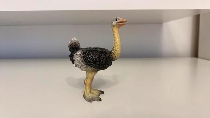 Schleich Struisvogel ~ 14091 (6), Verzamelen, Dierenverzamelingen, Beeldje of Figuurtje, Vogel, Ophalen of Verzenden