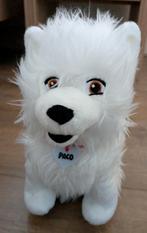 Paco knuffel van Rutger, Thomas en Paco, Ophalen of Verzenden, Zo goed als nieuw, Hond