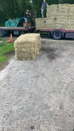 Weidehooi laag in suikers, Ophalen of Verzenden