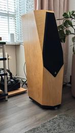 Avalon Eidolon luidsprekers, Audio, Tv en Foto, Luidsprekers, Ophalen, Gebruikt, Bowers & Wilkins (B&W), 120 watt of meer