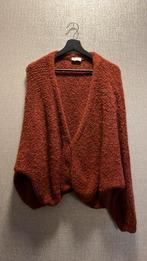 American vintage, vest maat M/L, Kleding | Dames, Maat 38/40 (M), Verzenden, Zo goed als nieuw, American Vintage