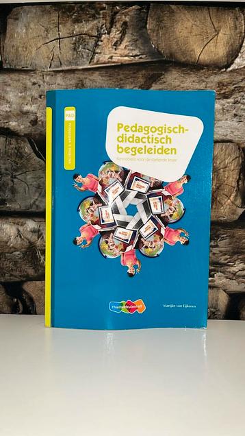 Pedagogisch didactisch begeleiden beschikbaar voor biedingen